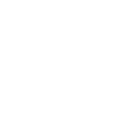 isologo de plugproducciones en el footer
